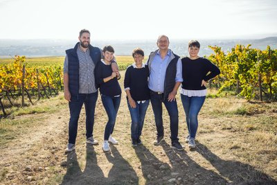 5 Personen stehen in den Weinbergen bei Sonnenschein