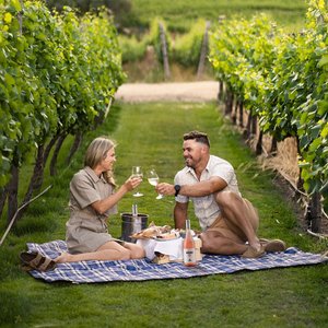 Pärchen genießt ein romantisches Picknick im Grünen