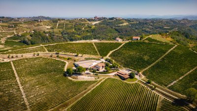 Die sanften Hügel sind mit Reihen von Weinreben bedeckt, während ein malerisches Gebäude in der Nähe steht.