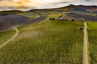 Blick von oben auf eine Weinregion bei Abenddämmerung