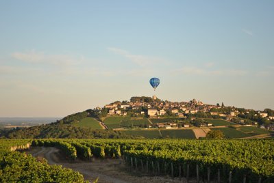 Heißluftballon über malerischen Weinbergen