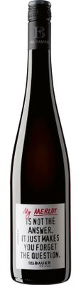 Die Flasche zeigt einen tiefroten Merlot, verziert mit einem kreativen Etikett, das zum Nachdenken anregt.