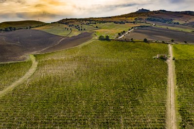 Blick von oben auf eine Weinregion bei Abenddämmerung