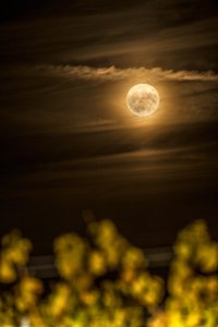 Der strahlende Vollmond über der nächtlichen Landschaft
