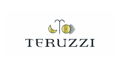 Logo Teruzzi