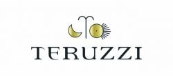 Logo: Teruzzi